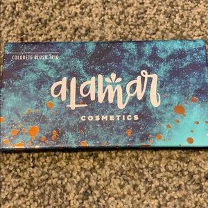 Blush Trio Palette